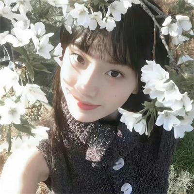 少林问道